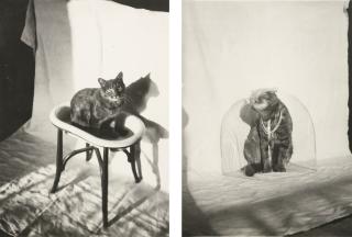 Claude Cahun - I. Chat À La Cloche, 1925 - 1930 Ii. Chat À La Vasque, 1925 - 1930