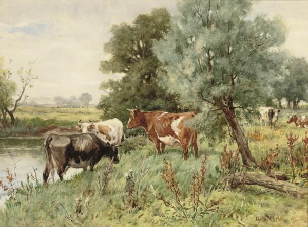 Claude Cardon - Cows grazing by a river bank
