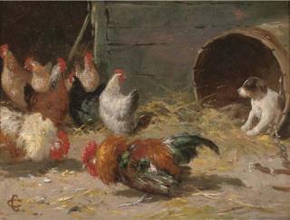 Claude Cardon - Disputed Territory