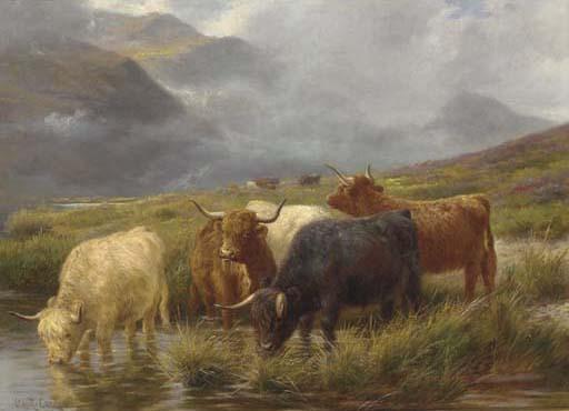 Claude Cardon - Highland cattle watering