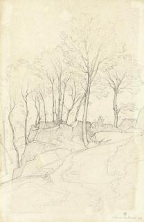Claude-Félix-Théodore Caruelle D\'Aligny - A Landscape With Rocks And Trees