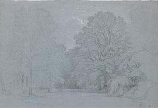 Claude-Félix-Théodore Caruelle d\'Aligny - Un Paysage de Forêt En Anjou