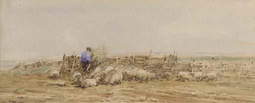 Claude Hayes, R.I. - A Norfolk sheep fold