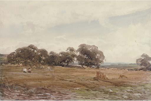 Claude Hayes, R.I. - An evening stroll through harvested fields