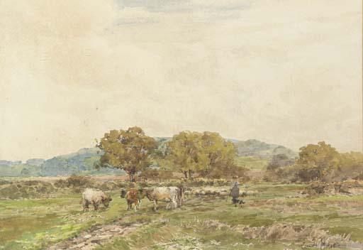 Claude Hayes, R.I. - Rounding up the herd