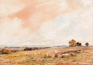 Claude Hayes - Sheep grazing in an open landscape