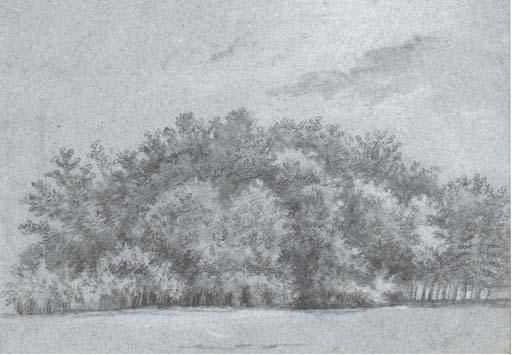 Claude-Jean-Baptiste Hoin - Vue d\'un taillis dans le bois de Boulogne