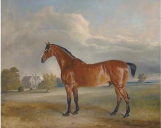 Claude Lorraine Ferneley - A bay hunter in the park of a country house