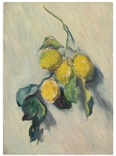 Claude Monet - Branche De Citronnier