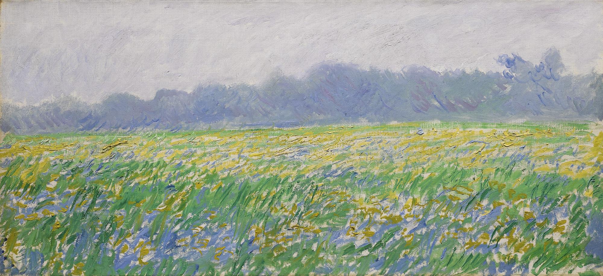 Claude Monet - Champ D\'Iris À Giverny