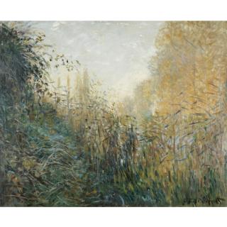 Claude Monet - Etude De Joncs