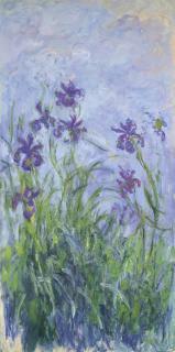 Claude Monet - Iris mauves