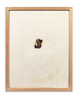 Claude Viallat - Untitled