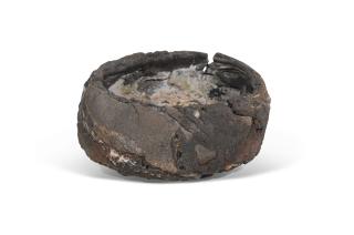 Claudi Casanovas - Teabowl