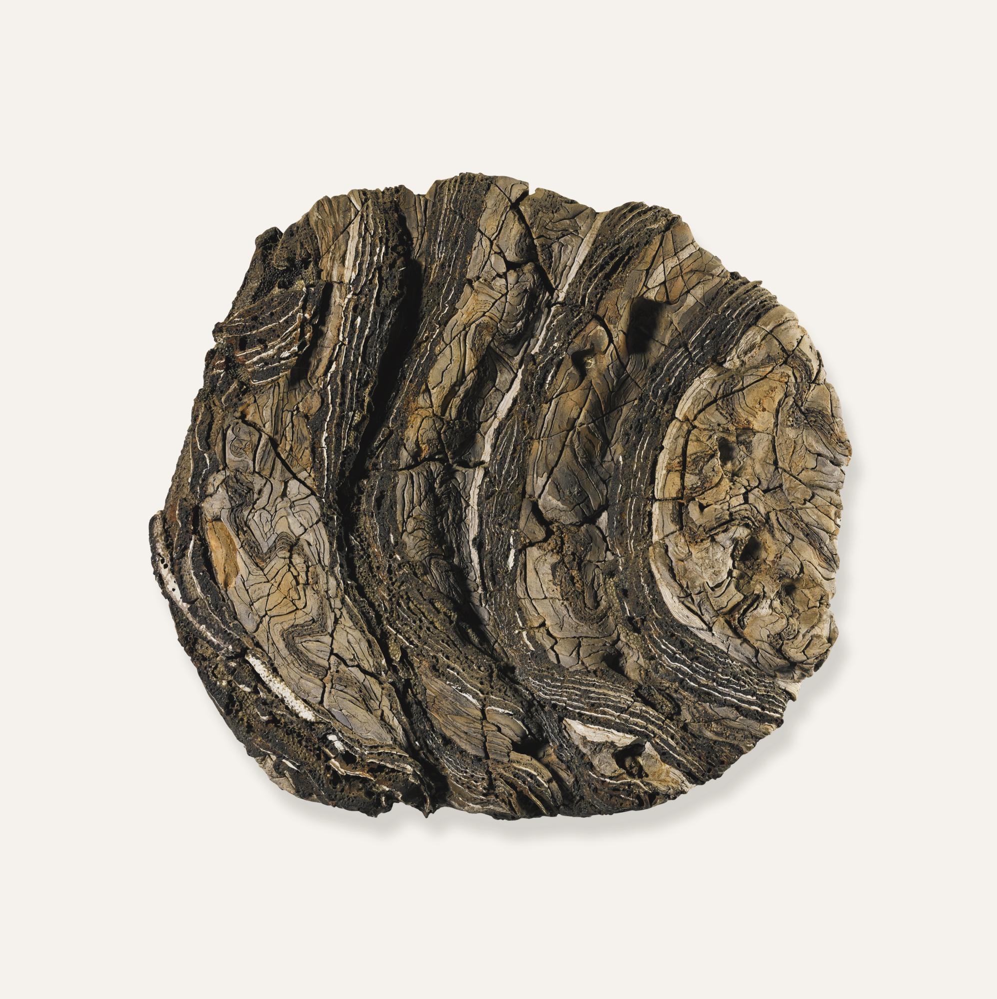 Claudi Casanovas - Wall Plate