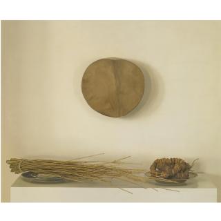 Claudio Bravo - Bamboo And Figs