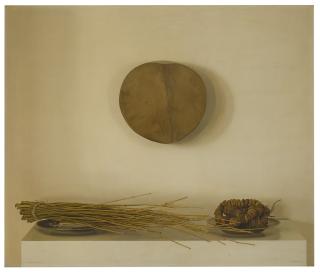 Claudio Bravo - Bambú E Higos