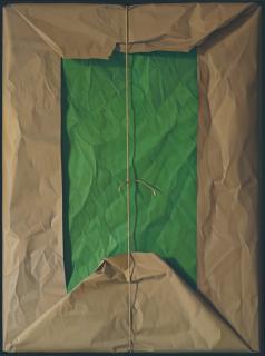 Claudio Bravo - Beige and Green Package