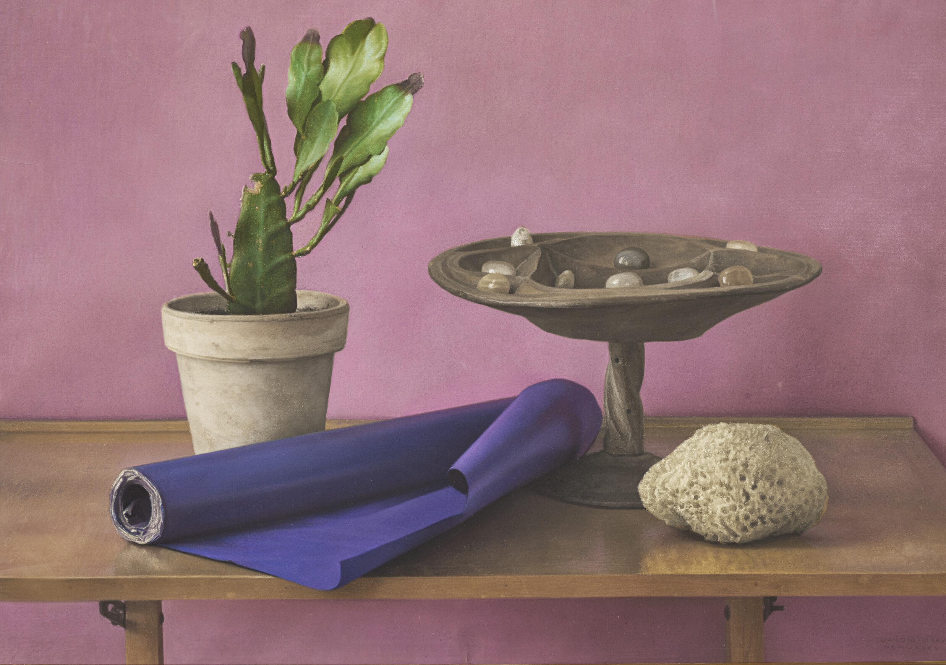 Claudio Bravo - Cactus and Sponges