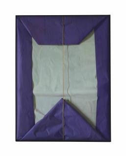 Claudio Bravo - Purple And Grey-Blue Package