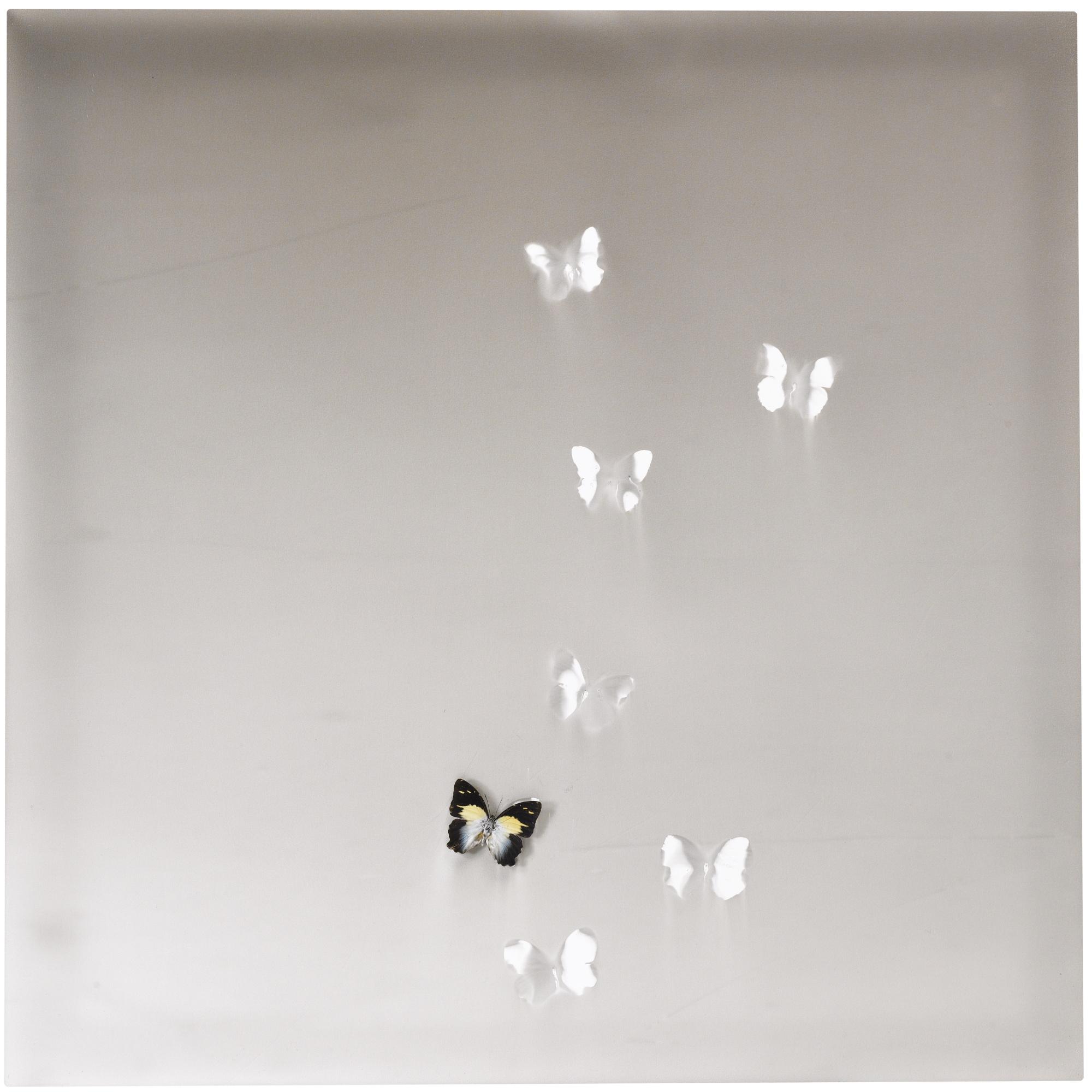 Claudio Parmiggiani - Delocazione