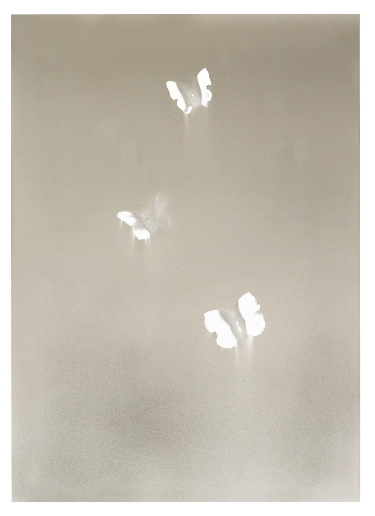 Claudio Parmiggiani - Senza Titolo