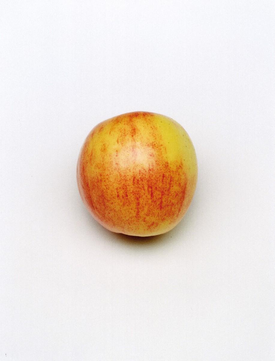 Claus Goedicke - »F-6\