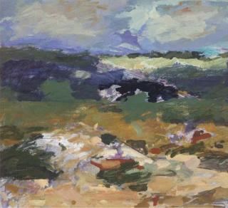 Clement Mcaleer - Irish Bogland