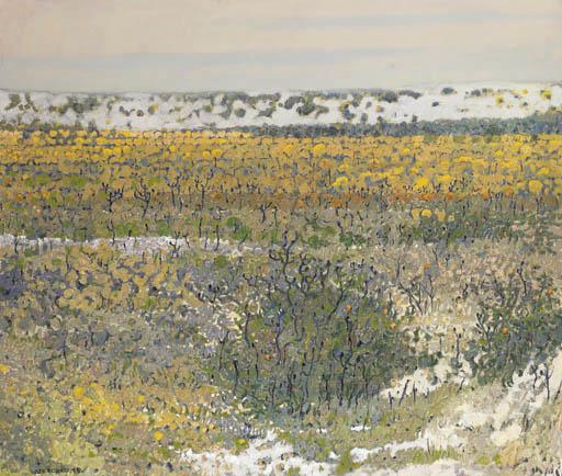 Clement Millward - Coastal Heath, Western Australia