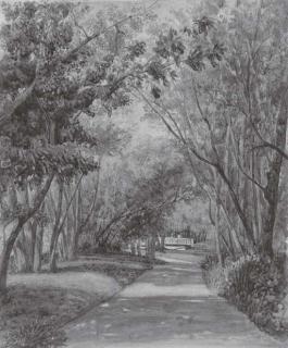 Clémentine, Princesse D\'Orléans - Une avenue du parc au château de Neuilly