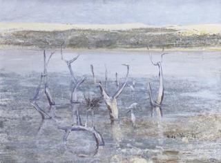 Clifton Ernest Pugh - The Coorong