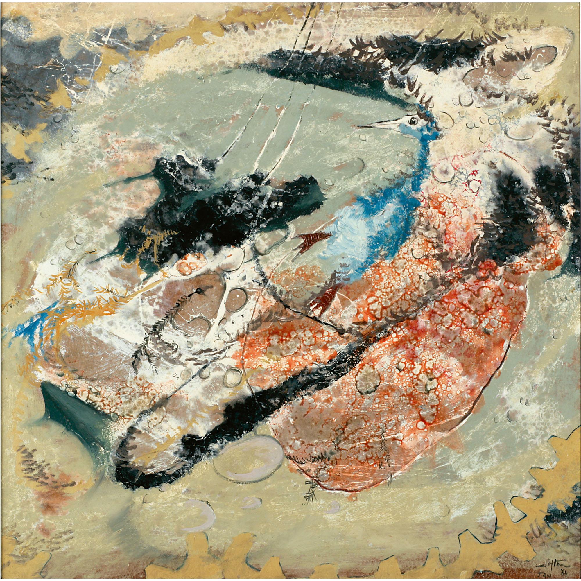 Clifton Pugh - Australian Fairy Penguin In Rock Pool, Shoreham