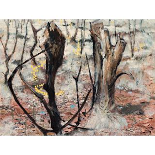 Clifton Pugh - Australian Sea Of Grass