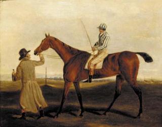 Clifton Tomson - A bay racehorse with a jockey up, being led by a groom, a racecourse beyond