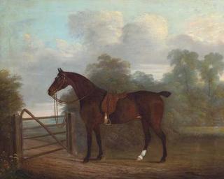 Clifton Tomson - A Saddled Bay Hunter Tethered To A Gate, In A Wooded Landscape