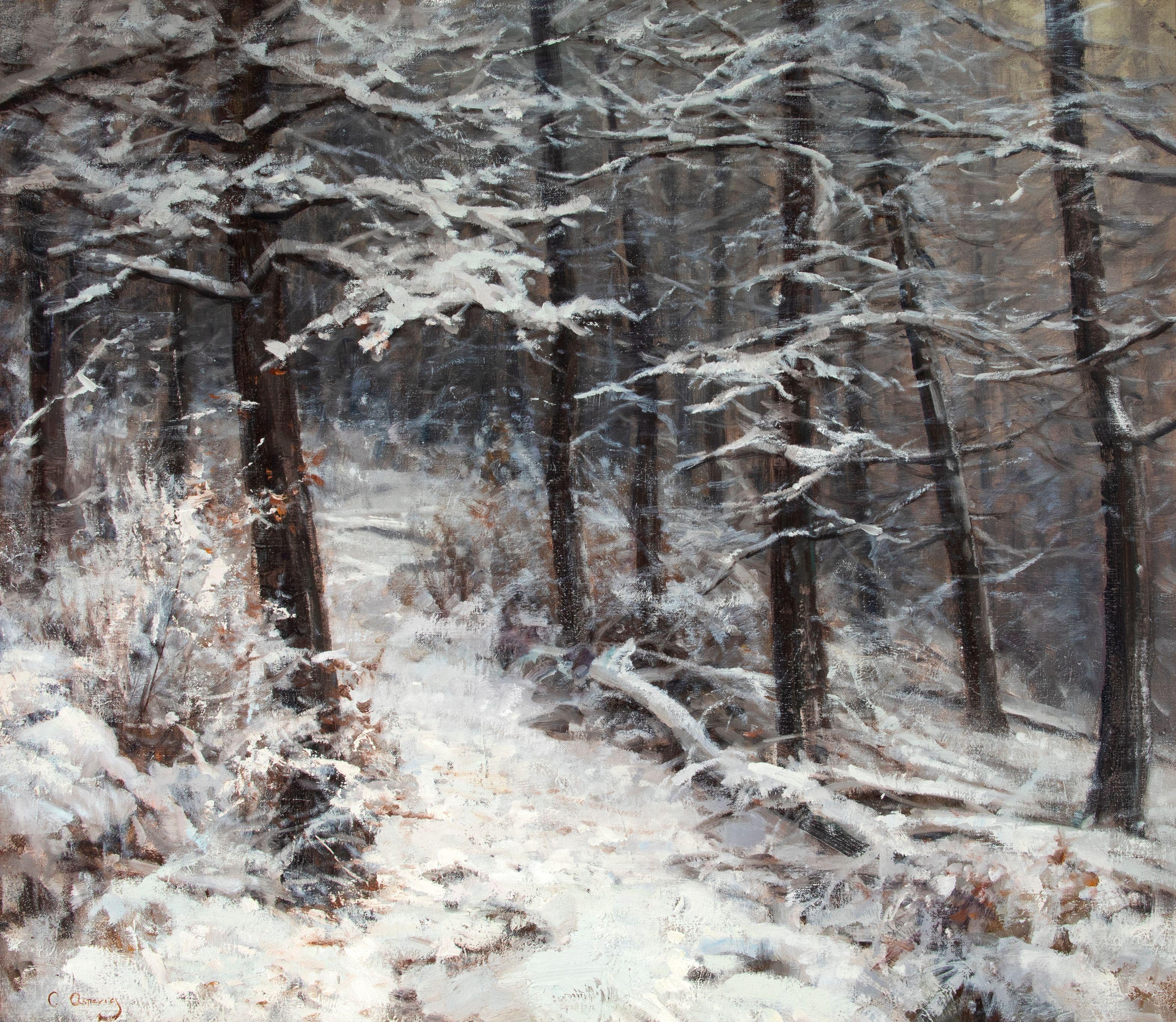 Clyde Aspevig - Winter Trail