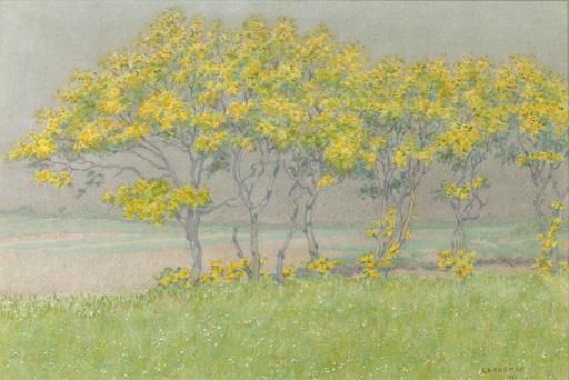 Co Breman - Landscape in \'t Gooi