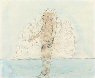 Co Westerik - Man voor stapelwolk