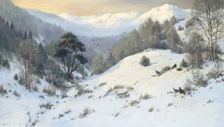 Colin Burns - Blackgame, Glen Affric, Scotland