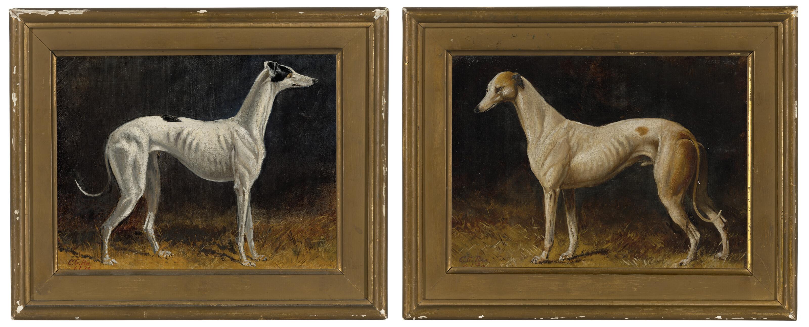 Colin Graeme Roe - A black and white whippet; A tan and white whippet