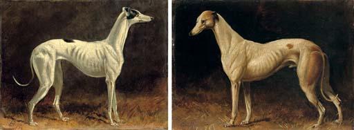 Colin Graeme Roe - A black and white whippet; and A brown and white whippet