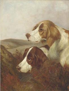 Colin Graeme Roe - A Brace of Pointers