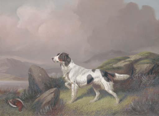 Colin Graeme Roe - A setter in a moorland landscape