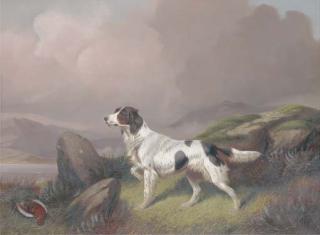 Colin Graeme Roe - A setter in a moorland landscape