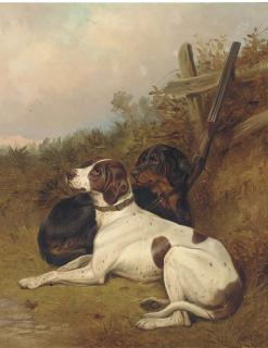 Colin Graeme Roe - English Pointers