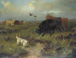 Colin Graeme Roe - Highland cattle, with a setter and grouse on the moor