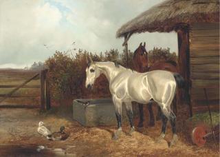 Colin Graeme Roe - Horses at a trough