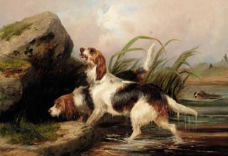 Colin Graeme Roe - Otter Hounds On The Scent