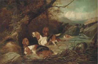 Colin Graeme Roe - Otter Hounds