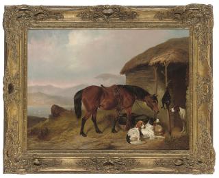 Colin Graeme Roe - The day\'s bag